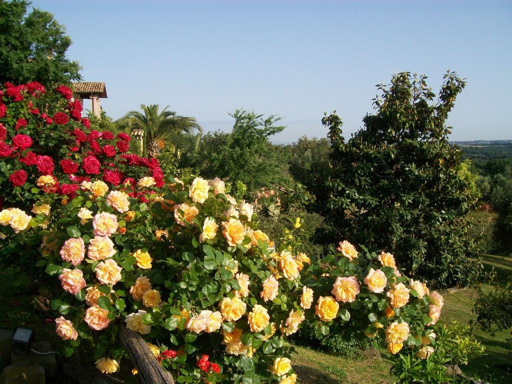 Antica Pietrara B&B Formello Bagian luar foto